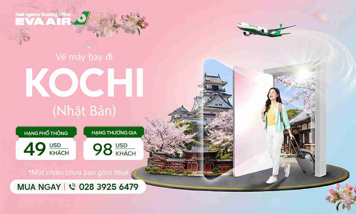 ve-may-bay-di-kochi-gia-re