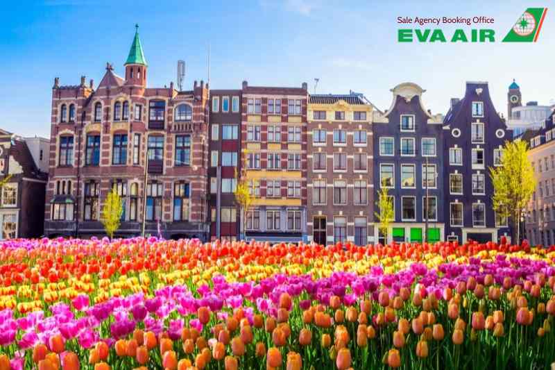 vé máy bay cho thú cưng chó mèo đi Hà Lan EVA Air, vé máy bay thú cưng đi Hà Lan EVA Air, vé máy bay chó mèo đi Hà Lan EVA Air, đưa chó mèo đi Hà Lan EVA Air, vận chuyển thú cưng đi Hà Lan EVA Air, vé vận chuyển thú cưng đi Hà Lan EVA Air
