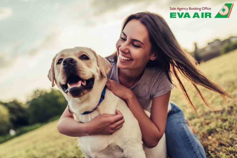 vận chuyển thú cưng đi Campuchia EVA Air, Thú cưng đi máy bay EVA Air đến Campuchia, đưa thú cưng đi Campuchia EVA air, ký gửi thú cưng đi Campuchia EVA Air, chó mèo ký gửi đi Campuchia EVA Air, mang thú cưng đi Campuchia EVA Air