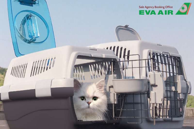 Vận chuyển thú cưng EVA Air, vận chuyển chó mèo EVA Air, hành lý ký gửi thú cưng EVA Air, vận chuyển động vật cảnh EVA Air, vận chuyển vật nuôi EVA Air, vận chuyển động vật sống EVA Air, ký gửi chó mèo EVA Air, Vận chuyển Hàng Hóa EVA Air là thú cưng