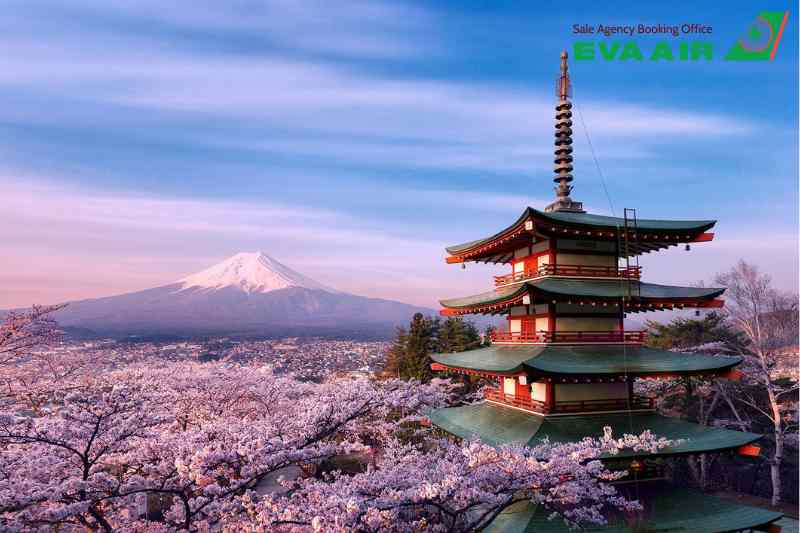 mang chó mèo đi Nhật Bản bằng EVA Air, Thủ tục mang chó mèo đi Nhật Bản EVA Air, mang thú cưng đi Nhật Bản bằng EVA Air, Đưa chó mèo sang Nhật Bản bằng EVA Air, vận chuyển thú cưng đi Nhật Bản EVA Air, đưa thú cưng đi Nhật Bản EVA Air