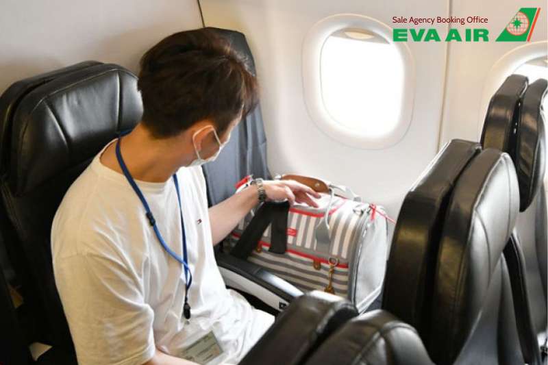 thú cưng trong khoang hàng hóa EVA Air, vận chuyển thú cưng EVA Air, gửi chó mèo ký gửi EVA Air, ký gửi thú cưng EVA Air trong khoang cargo, Chó mèo trong khoang hàng hóa EVA Air, khoang hàng hóa vận chuyển thú cưng EVA Air