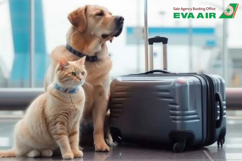 vé máy bay thú cưng chó mèo đi Atlanta Mỹ EVA Air, vận chuyển chó mèo đi Atlanta EVA Air, vé thú cưng đi Atlanta Mỹ EVA Air, vé máy bay chó mèo đi Atlanta Mỹ EVA Air, Vé chó mèo đi Atlanta Mỹ EVA Air, thú cưng đi Atlanta bằng EVA Air
