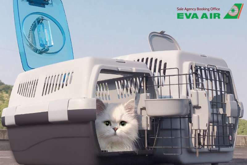 vé máy bay thú cưng chó mèo đi Atlanta Mỹ EVA Air, vận chuyển chó mèo đi Atlanta EVA Air, vé thú cưng đi Atlanta Mỹ EVA Air, vé máy bay chó mèo đi Atlanta Mỹ EVA Air, Vé chó mèo đi Atlanta Mỹ EVA Air, thú cưng đi Atlanta bằng EVA Air