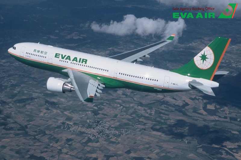 vé máy bay thú cưng chó mèo đi Seattle Mỹ EVA Air, mang chó mèo đi Seattle EVA Air, vé chó mèo đi Seattle EVA Air,vé thú cưng đi Seattle Mỹ EVA Air, vé thú cưng đi Seattle EVA Air, mang thú cưng đi Seattle Mỹ EVA Air, vận chuyển chó mèo đi Seattle EVA Air