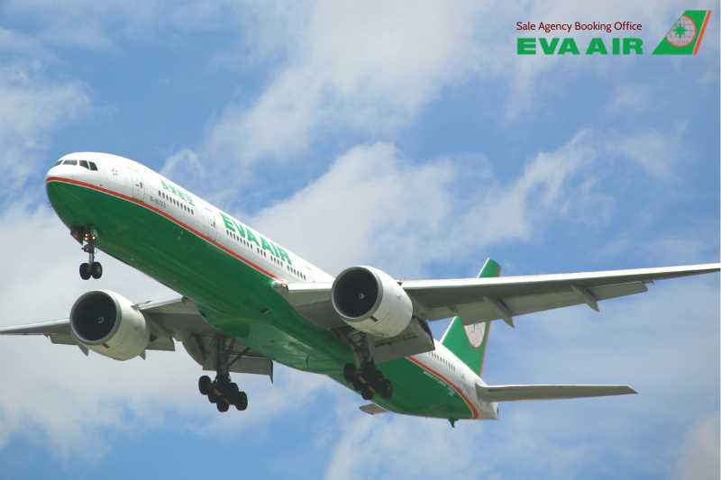 loại vé EVA Air được nâng hạng, nâng cấp chỗ ngồi EVA Air, hạng vé EVA Air nào được nâng hạng, vé EVA Air đủ điều kiện nâng hạng, vé tiêu chuẩn EVA Air, vé Linh hoạt EVA Air, Loại vé EVA Air được phép nâng hạng, loại vé EVA Air có thể nâng hạng