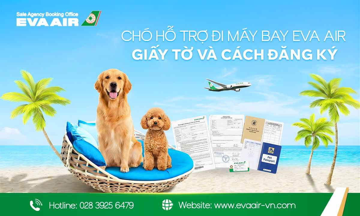chó hỗ trợ đi máy bay EVA Air, chó hỗ trợ bay EVA Air, quy định chó hỗ trợ EVA Air, Service Dog EVA Air, vận chuyển chó hỗ trợ EVA Air, thủ tục đăng ký chó hỗ trợ EVA Air, giấy tờ chó hỗ trợ đi máy bay EVA Air, mang chó hỗ trợ lên máy bay EVA Air