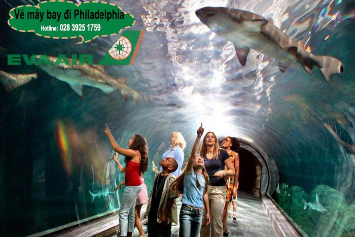 Thủy cung Adventure Aquarium