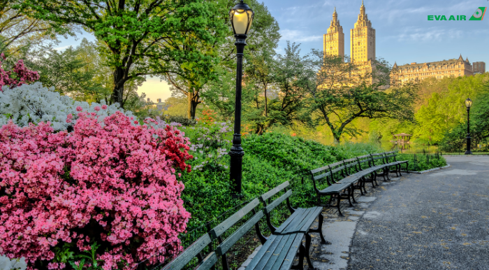 7 việc nên làm khi du lịch New York