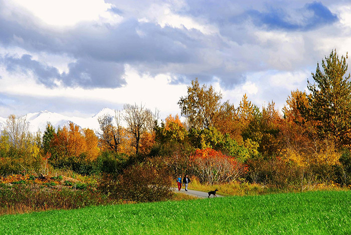 Tony Knowles Coastal Trail